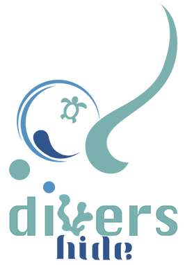 ダイバーズ・ハイド活動報告