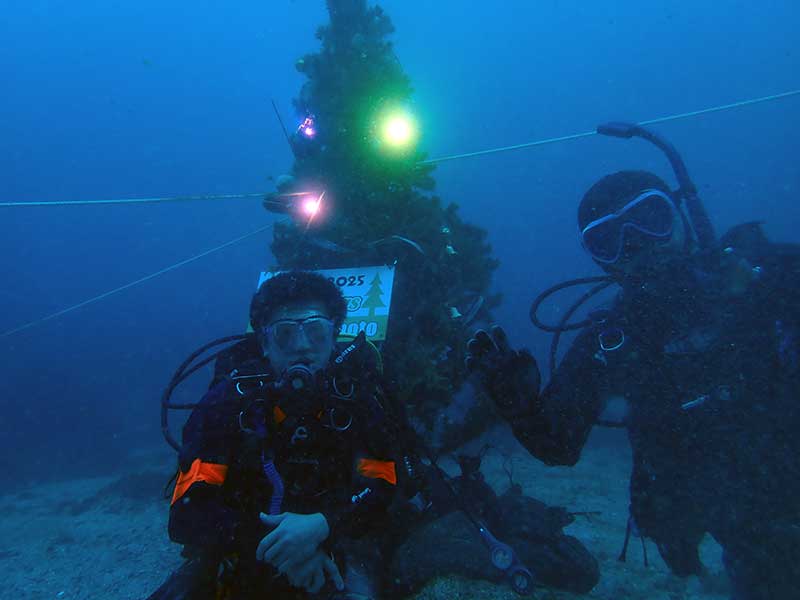 Xmasツリー前で記念写真