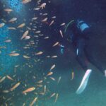 色津のアーチ（ヒロさん撮影）