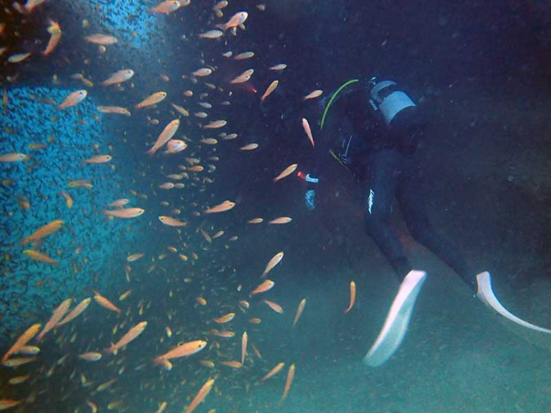 色津のアーチ（ヒロさん撮影）