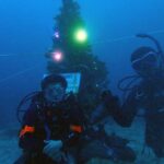 Xmasツリー前で記念写真