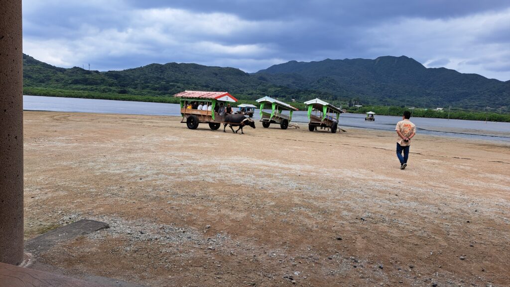 20251122_114627-1024x577 西表島ドリフターズに参加~その１（陸上編）