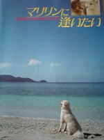 マリリンに逢いたい